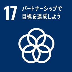 17_パートナーシップで目標を達成しよう